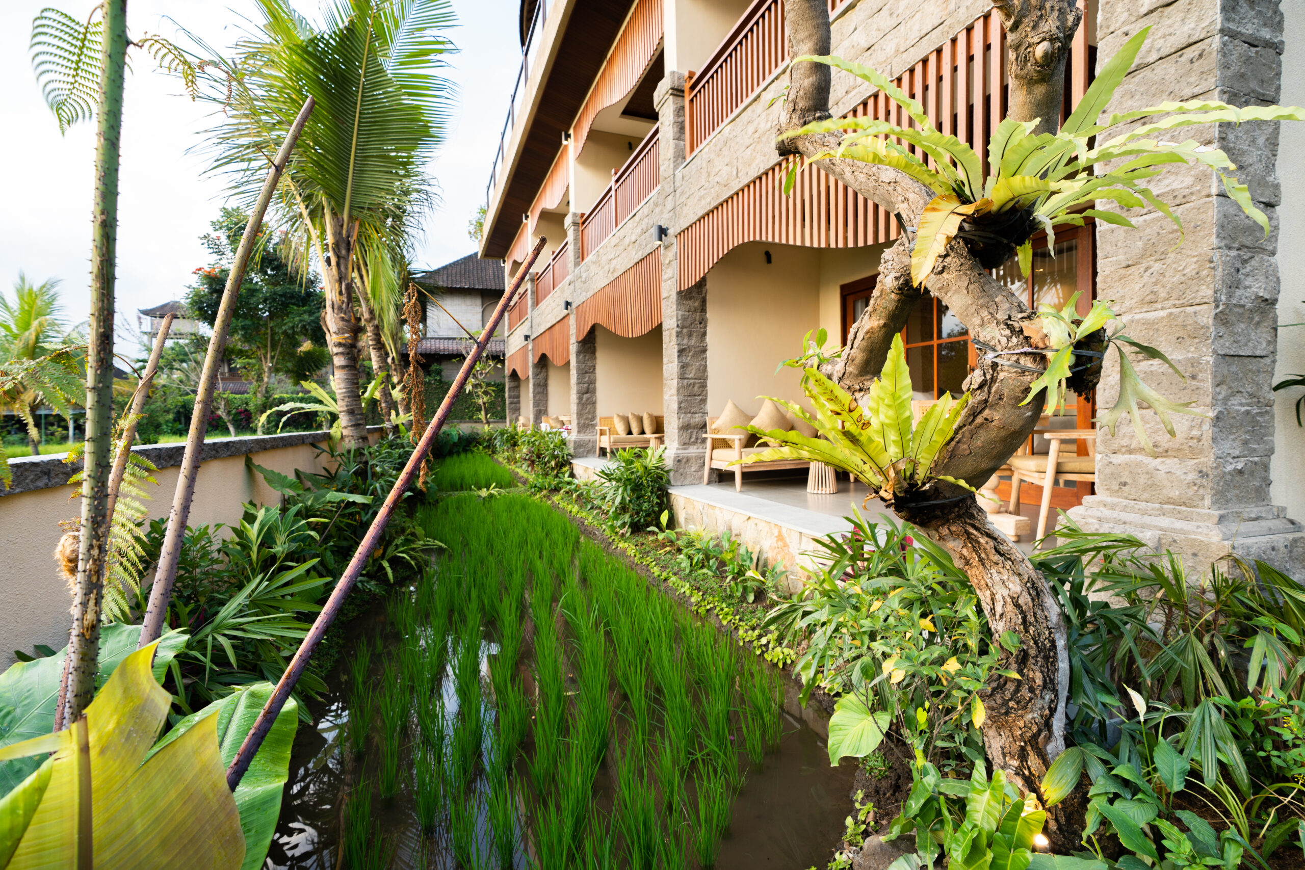 Gallery : Bliss Ubud Spa Resort